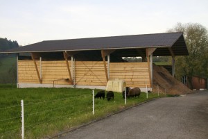 Holzschnitzellagerhalle